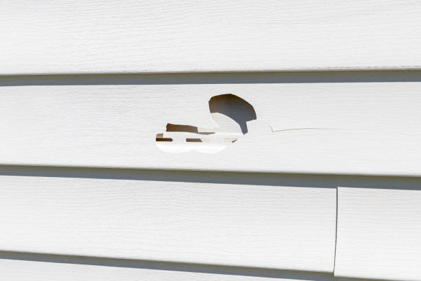 Storm Damage Siding Repair in Petal, MS