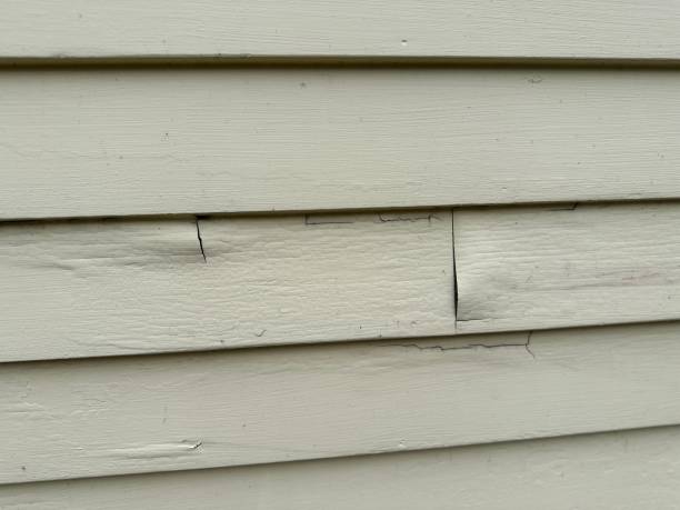 How To Choose The Right Materials for Your Siding Installation in 'Petal, MS